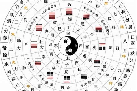 星的五行|五行